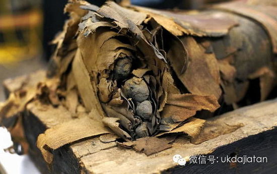 近距离接触 2500年前的古埃及木乃伊！