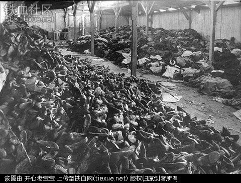 二战集中营惨烈黑镜头:纳粹血腥屠杀犹太人(组图)