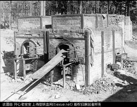 二战集中营惨烈黑镜头:纳粹血腥屠杀犹太人(组图)