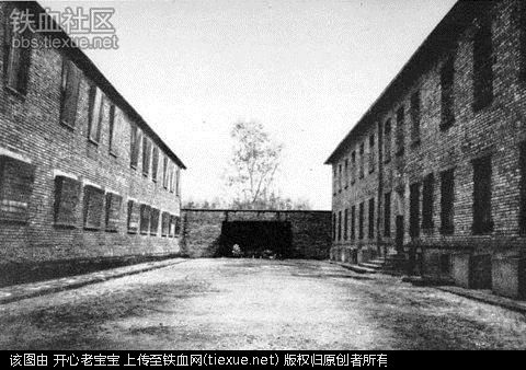 二战集中营惨烈黑镜头:纳粹血腥屠杀犹太人(组图)