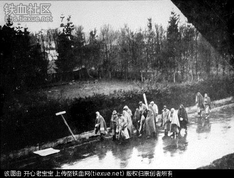 二战集中营惨烈黑镜头:纳粹血腥屠杀犹太人(组图)