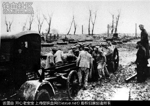 二战集中营惨烈黑镜头:纳粹血腥屠杀犹太人(组图)