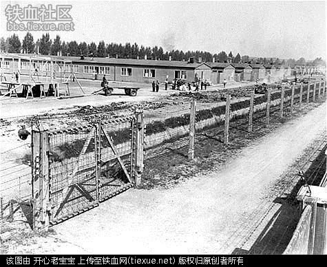 二战集中营惨烈黑镜头:纳粹血腥屠杀犹太人(组图)