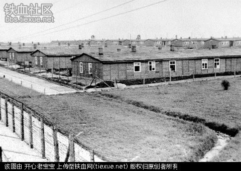 二战集中营惨烈黑镜头:纳粹血腥屠杀犹太人(组图)