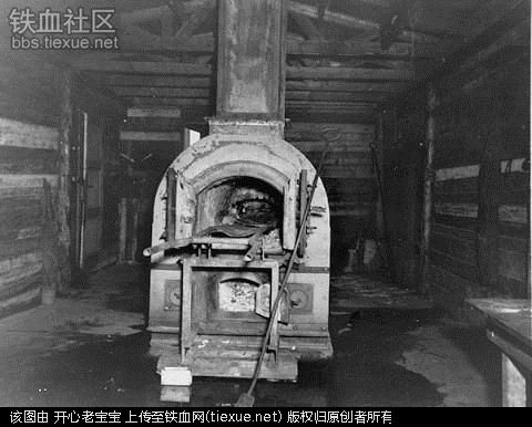 二战集中营惨烈黑镜头:纳粹血腥屠杀犹太人(组图)