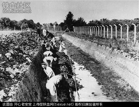 二战集中营惨烈黑镜头:纳粹血腥屠杀犹太人(组图)
