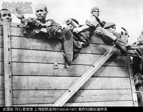 二战集中营惨烈黑镜头:纳粹血腥屠杀犹太人(组图)