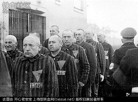 二战集中营惨烈黑镜头:纳粹血腥屠杀犹太人(组图)