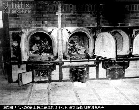 二战集中营惨烈黑镜头:纳粹血腥屠杀犹太人(组图)