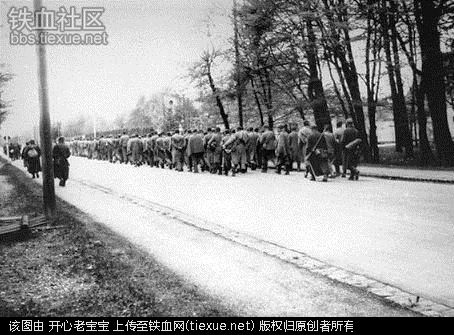 二战集中营惨烈黑镜头:纳粹血腥屠杀犹太人(组图)