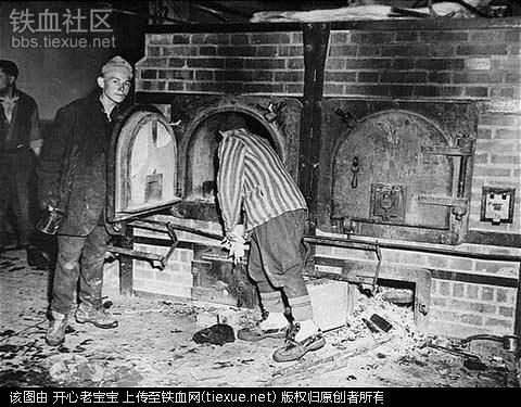 二战集中营惨烈黑镜头:纳粹血腥屠杀犹太人(组图)