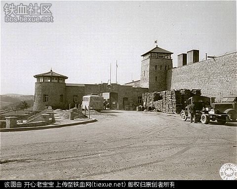 二战集中营惨烈黑镜头:纳粹血腥屠杀犹太人(组图)