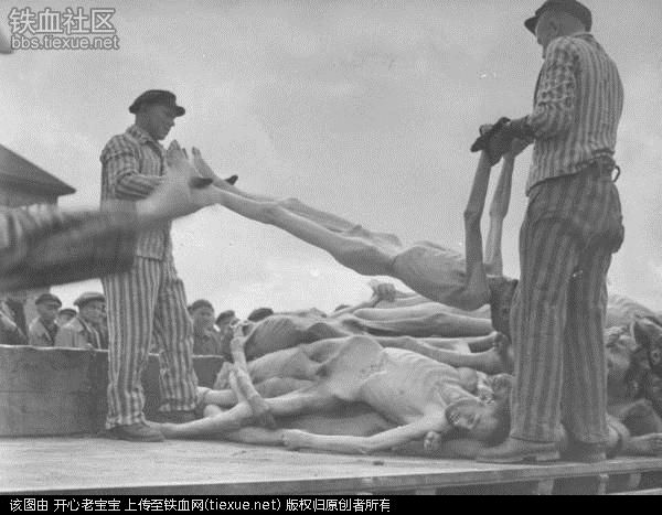 二战集中营惨烈黑镜头:纳粹血腥屠杀犹太人(组图)