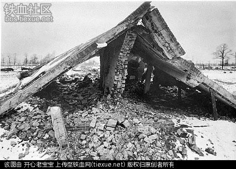 二战集中营惨烈黑镜头:纳粹血腥屠杀犹太人(组图)