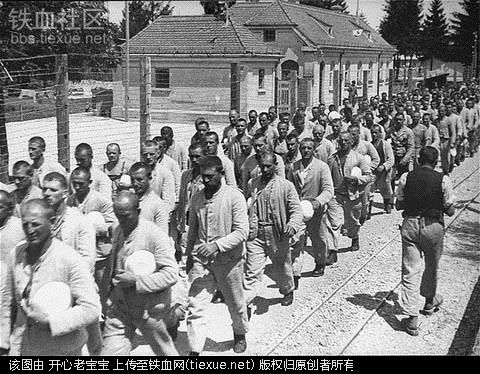 二战集中营惨烈黑镜头:纳粹血腥屠杀犹太人(组图)