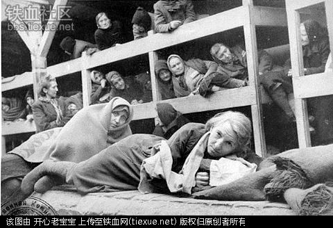 二战集中营惨烈黑镜头:纳粹血腥屠杀犹太人(组图)