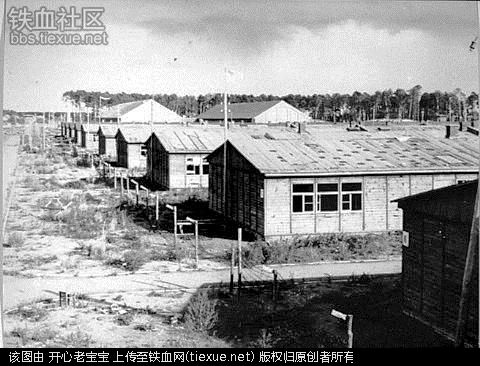 二战集中营惨烈黑镜头:纳粹血腥屠杀犹太人(组图)