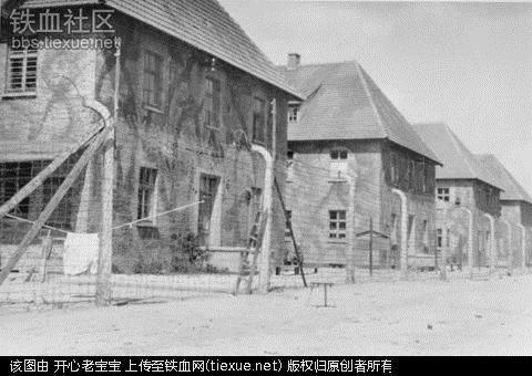 二战集中营惨烈黑镜头:纳粹血腥屠杀犹太人(组图)