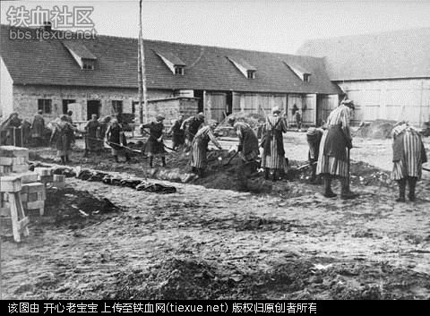 二战集中营惨烈黑镜头:纳粹血腥屠杀犹太人(组图)