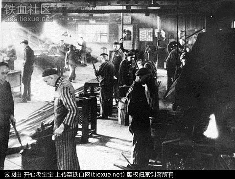 二战集中营惨烈黑镜头:纳粹血腥屠杀犹太人(组图)