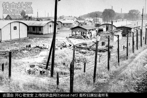 二战集中营惨烈黑镜头:纳粹血腥屠杀犹太人(组图)