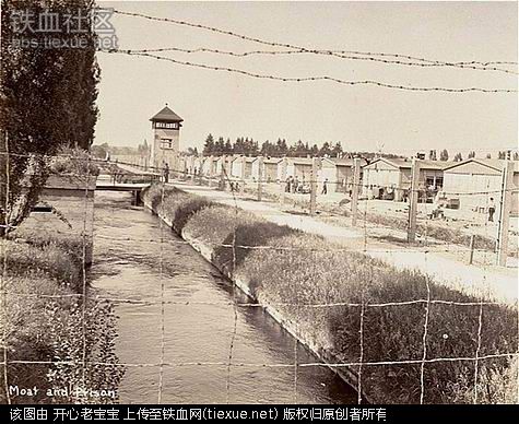 二战集中营惨烈黑镜头:纳粹血腥屠杀犹太人(组图)