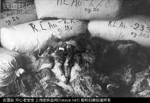 二战集中营惨烈黑镜头:纳粹血腥屠杀犹太人(组图)