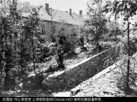 二战集中营惨烈黑镜头:纳粹血腥屠杀犹太人(组图)