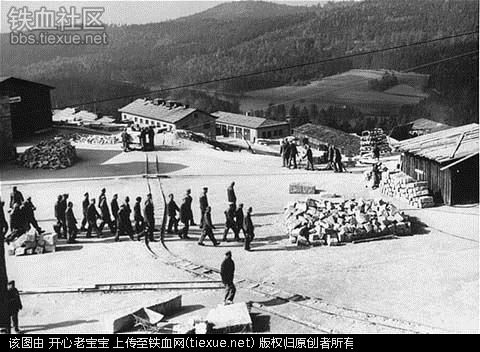 二战集中营惨烈黑镜头:纳粹血腥屠杀犹太人(组图)