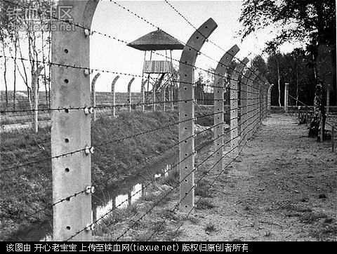 二战集中营惨烈黑镜头:纳粹血腥屠杀犹太人(组图)