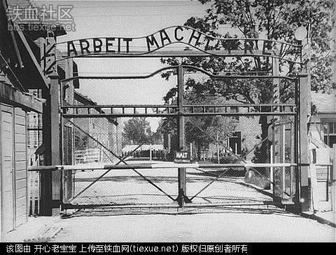 二战集中营惨烈黑镜头:纳粹血腥屠杀犹太人(组图)