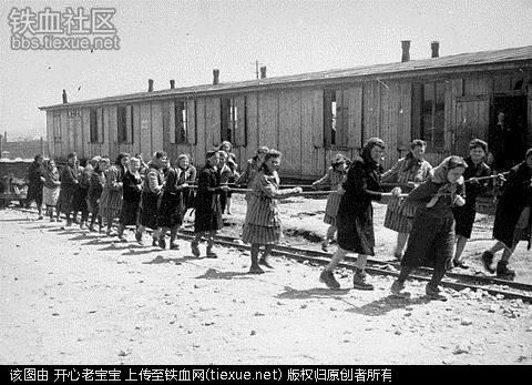 二战集中营惨烈黑镜头:纳粹血腥屠杀犹太人(组图)