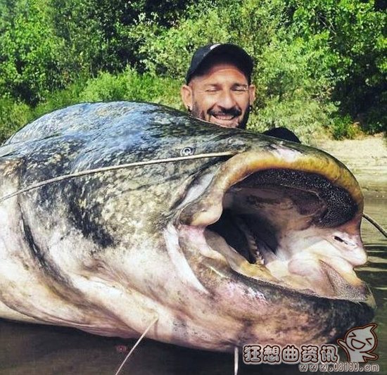 男子钓到