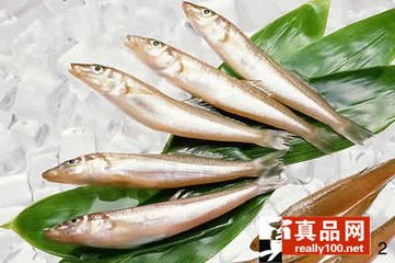 历史上重量最大的长江刀鱼，长江刀鱼为什么会如此贵？