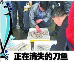 历史上重量最大的长江刀鱼，长江刀鱼为什么会如此贵？