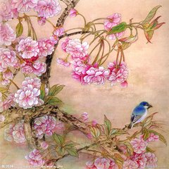 海棠花与其他花的详细区别,海棠花有什么寓意和象征