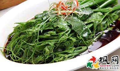 春天的常见野菜有哪些，野菜有哪些功效与作用