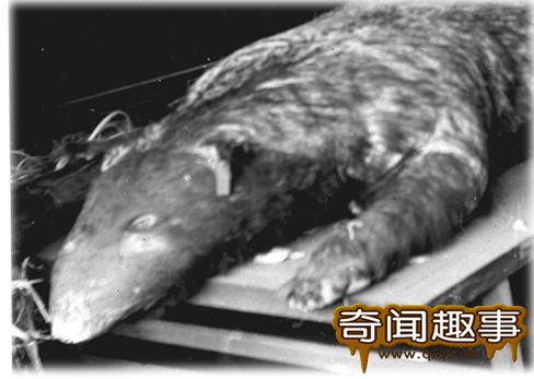 紫禁城故宫里面的诡异故事,故宫是由哪位皇帝建造的