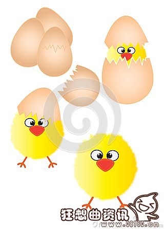 小鸡是怎样孵出来的?鸡蛋变小鸡的全过程