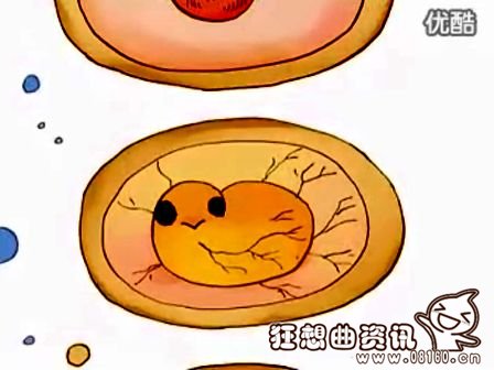 小鸡是怎样孵出来的?鸡蛋变小鸡的全过程