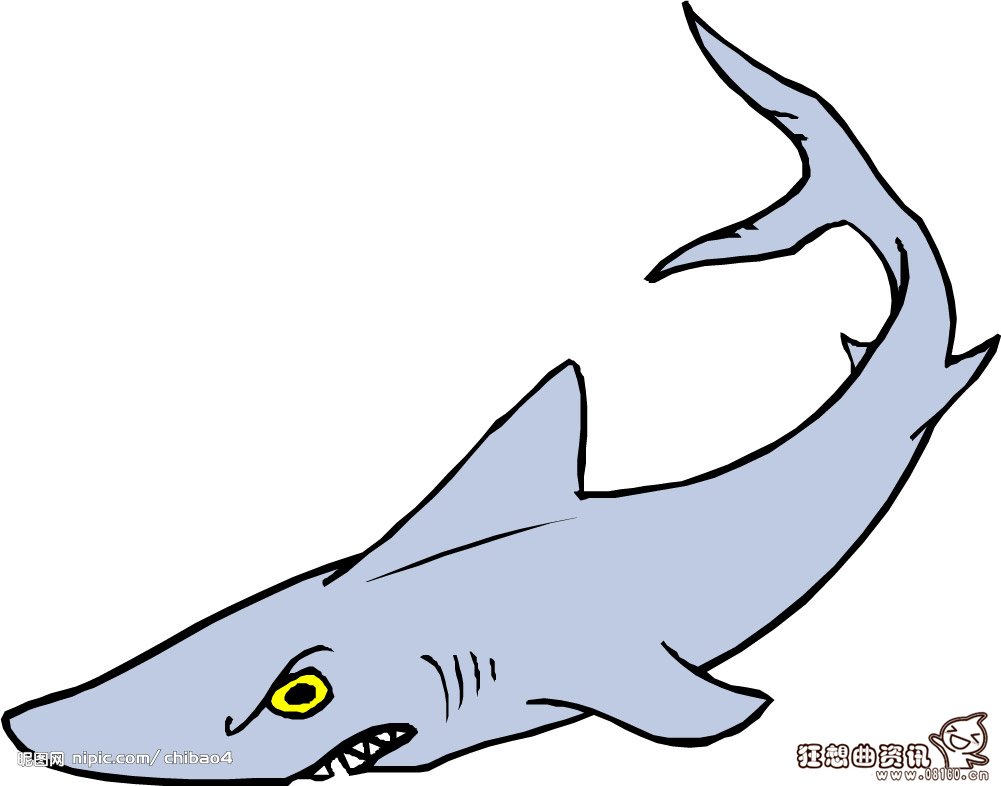 巨型鱿鱼尸体被大鲨鱼吞噬图片,鲨鱼是不是属于鱼类