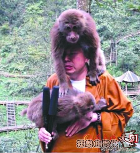 峨眉山上的猴子会耍流氓,关于峨眉山看猴子的注意事项