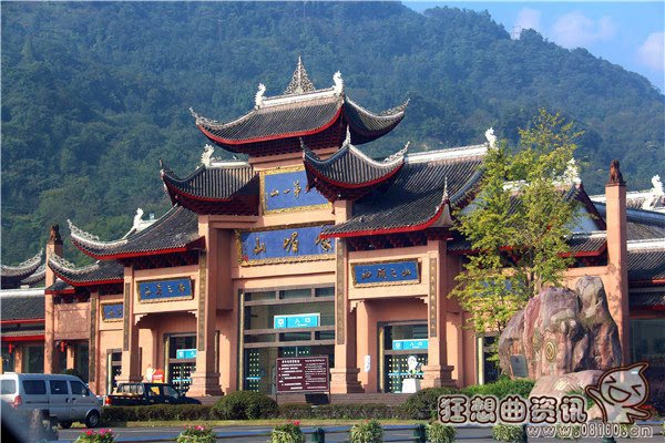 峨眉山上的猴子会耍流氓,关于峨眉山看猴子的注意事项