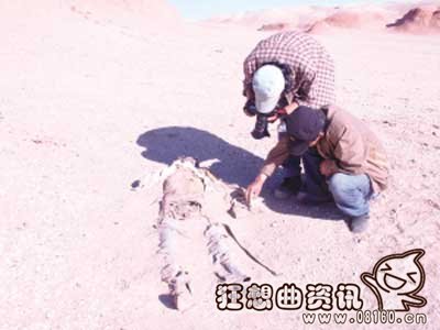 罗布泊的一些诡异事件揭秘,罗布泊这个地方在哪里