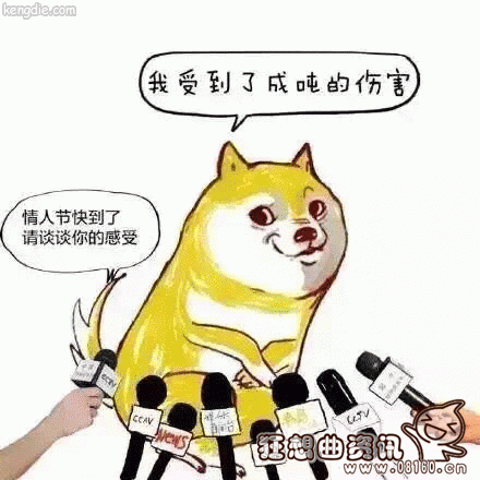 跑得最快的狗狗前十名,跑的最快的狗速度有多快