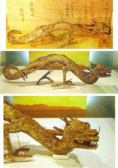 世界真的有龙这种生物吗?现实中龙真的存在吗?