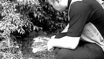 十宗罪119碎尸案真相，119碎尸案黑弥撒说法是怎么回事？