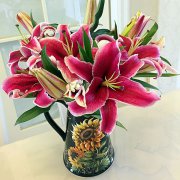 女人和女人在一起恋爱为什么叫百合，百合女生有什么特征