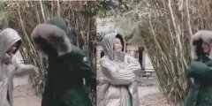 张慧雯内裤事件是怎么回事，她小时候的照片来了