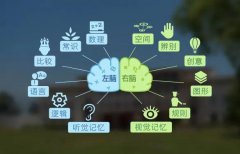 老人为什么说女左撇子不好，左撇子的人很可怕真的吗？